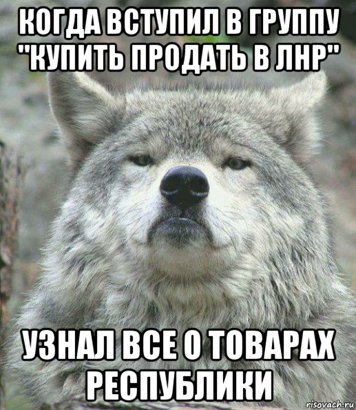 когда вступил в группу "купить продать в лнр" узнал все о товарах республики, Мем    Гордый волк