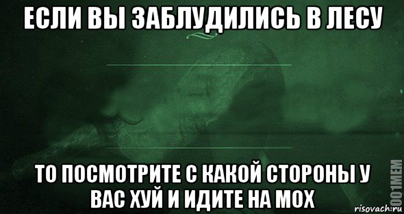 если вы заблудились в лесу то посмотрите с какой стороны у вас хуй и идите на мох, Мем Игра слов 2