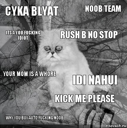 cyka blyat idi nahui rush b no stop why you buy auto fucking noob your mom is a whore noob team kick me please its a you fucking idiot  , Комикс  кот безысходность