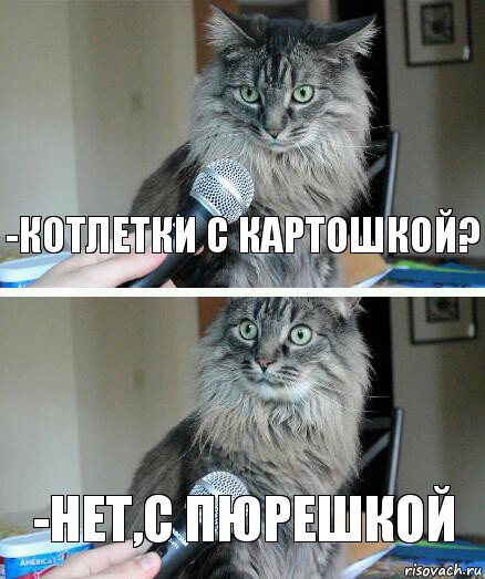 -Котлетки с картошкой? -Нет,с пюрешкой, Комикс  кот с микрофоном