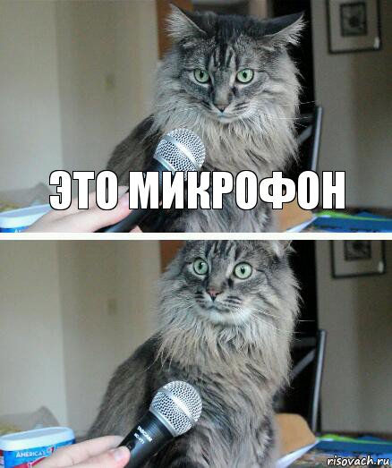 это микрофон , Комикс  кот с микрофоном