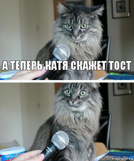 А теперь Катя скажет тост , Комикс  кот с микрофоном
