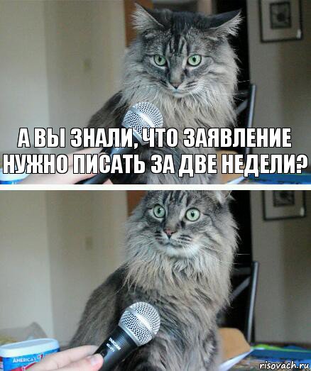 А Вы знали, что заявление нужно писать за две недели? , Комикс  кот с микрофоном