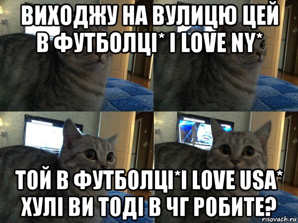 виходжу на вулицю цей в футболці* i love ny* той в футболці*i love usa* хулі ви тоді в чг робите?, Мем  Кот в шоке