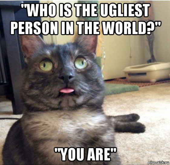 "who is the ugliest person in the world?" "you are", Мем   Кот завис