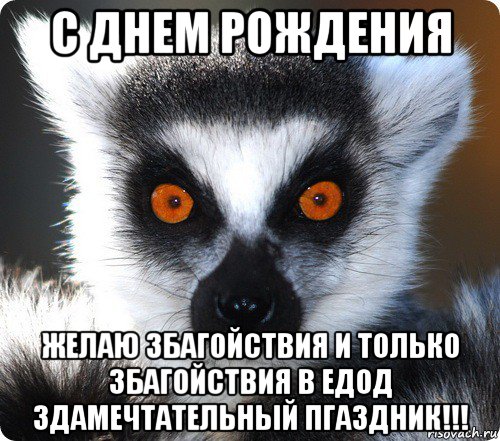 с днем рождения желаю збагойствия и только збагойствия в едод здамечтательный пгаздник!!!, Мем лемур