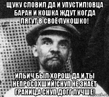 щуку словил да и упустил!овца баран и кошка ждут когда лягут в своё лукошко! ильич был хорош да и ты непросохший!снуп не знает границ,а снуп догг лучше!, Мем   Ленин удивлен