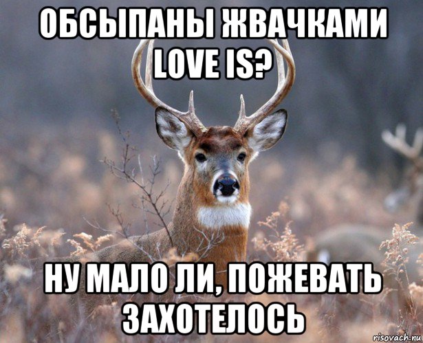 обсыпаны жвачками love is? ну мало ли, пожевать захотелось, Мем   Наивный олень