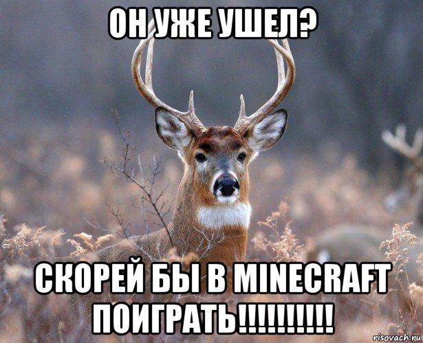 он уже ушел? скорей бы в minecraft поиграть!!!!!!!!!!