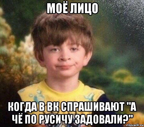 моё лицо когда в вк спрашивают "а чё по русичу задовали?", Мем Недовольный пацан