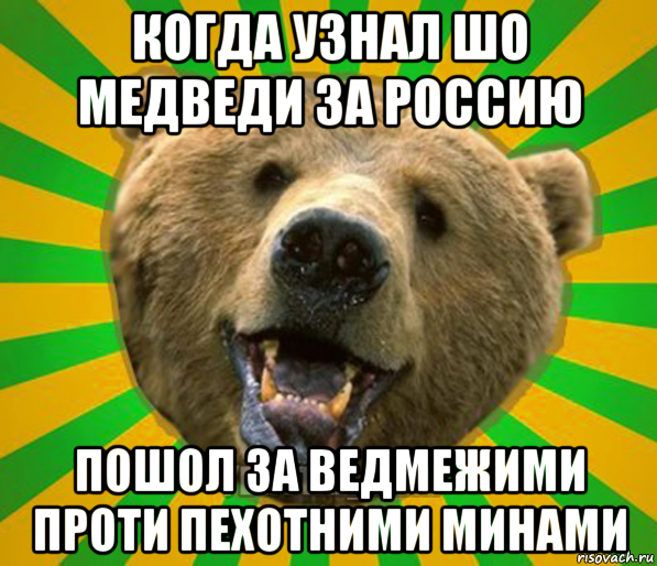 когда узнал шо медведи за россию пошол за ведмежими проти пехотними минами, Мем Нелепый медведь