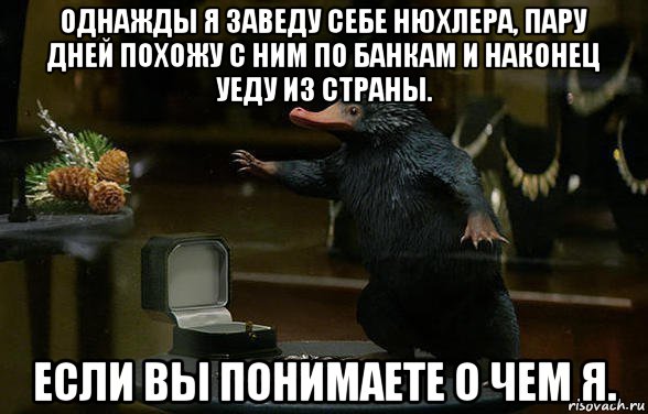 Я завелась. Мем Нюхлер. Мемы с нюхлером. Однажды я уеду. Нюхлер удивление Мем.