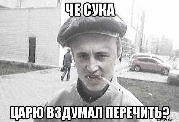 че сука царю вздумал перечить?