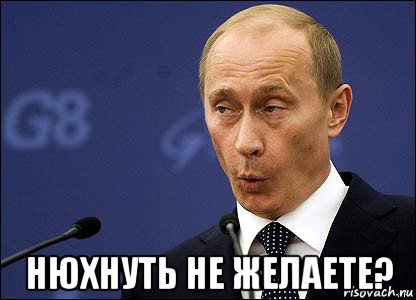  нюхнуть не желаете?, Мем Путин