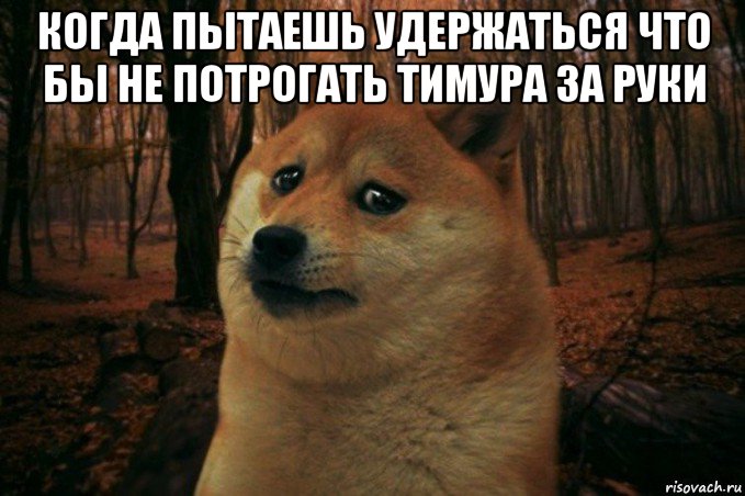 когда пытаешь удержаться что бы не потрогать тимура за руки , Мем SAD DOGE