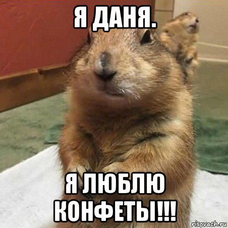 я даня. я люблю конфеты!!!, Мем Суслик спрашивает