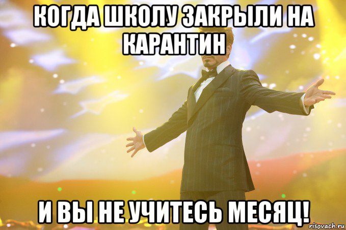 когда школу закрыли на карантин и вы не учитесь месяц!, Мем Тони Старк (Роберт Дауни младший)