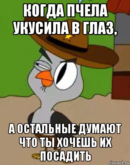 когда пчела укусила в глаз, а остальные думают что ты хочешь их посадить, Мем    Упоротая сова