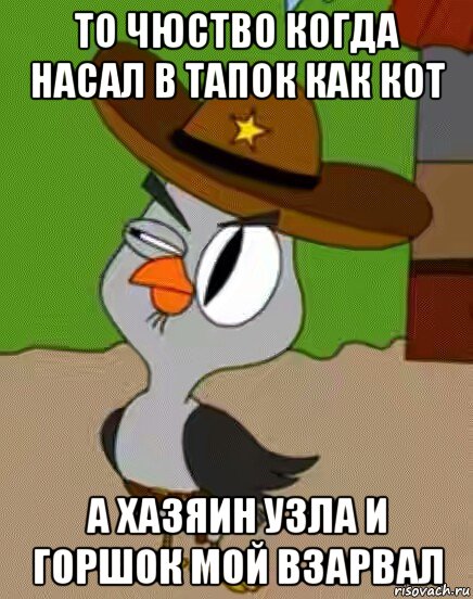 то чюство когда насал в тапок как кот а хазяин узла и горшок мой взарвал, Мем    Упоротая сова