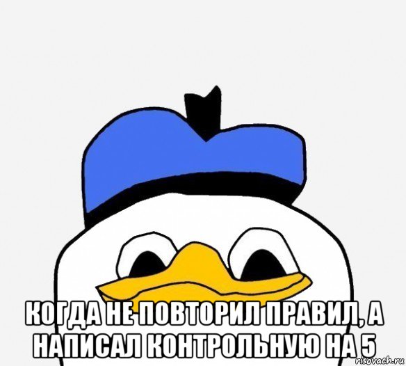  когда не повторил правил, а написал контрольную на 5, Мем Утка