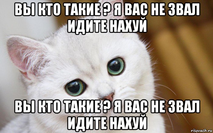 вы кто такие ? я вас не звал идите нахуй вы кто такие ? я вас не звал идите нахуй, Мем  В мире грустит один котик