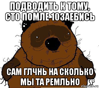 подводить к тому, сто помле 10заебись сам глчнь на сколько мы та ремльно, Мем  Винни збс