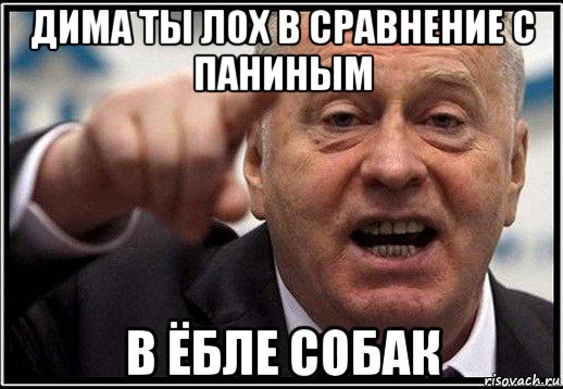 дима ты лох в сравнение с паниным в ёбле собак, Мем жириновский ты