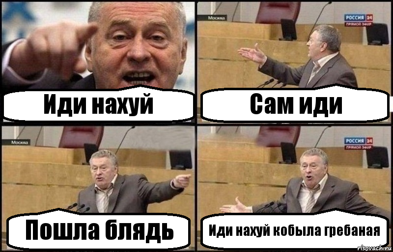 Иди нахуй Сам иди Пошла блядь Иди нахуй кобыла гребаная, Комикс Жириновский