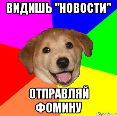 видишь "новости" отправляй фомину, Мем Advice Dog