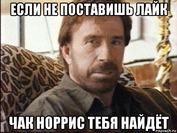 если не поставишь лайк чак норрис тебя найдёт, Мем чак норрис