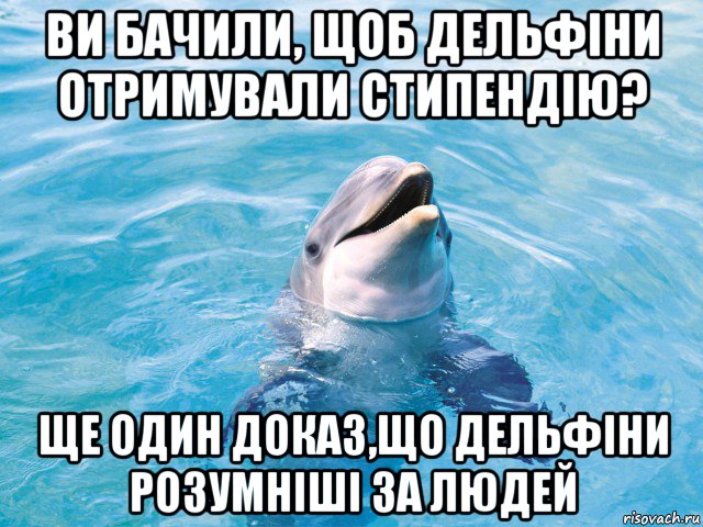 ви бачили, щоб дельфіни отримували стипендію? ще один доказ,що дельфіни розумніші за людей, Мем Дельфин