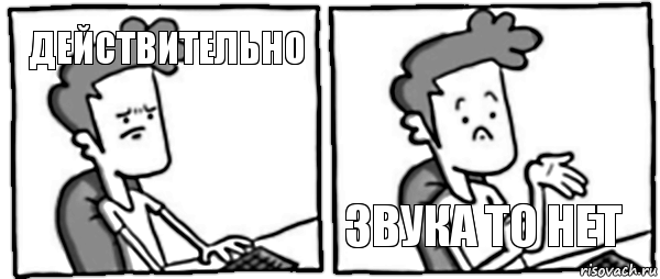 Действительно Звука то нет