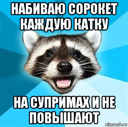 набиваю сорокет каждую катку на супримах и не повышают, Мем Енот-Каламбурист