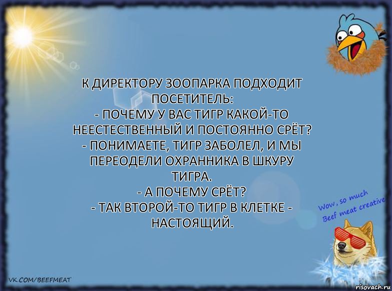 К директору зоопарка подходит посетитель:
- Почему у вас тигр какой-то неестественный и постоянно срёт?
- Понимаете, тигр заболел, и мы переодели охранника в шкуру тигра.
- А почему срёт?
- Так второй-то тигр в клетке - настоящий., Комикс ФОН