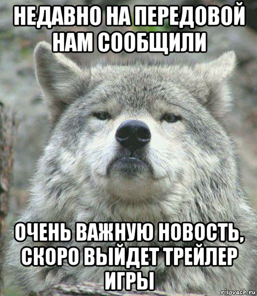 недавно на передовой нам сообщили очень важную новость, скоро выйдет трейлер игры, Мем    Гордый волк