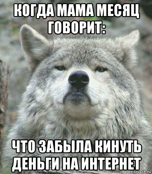 когда мама месяц говорит: что забыла кинуть деньги на интернет, Мем    Гордый волк