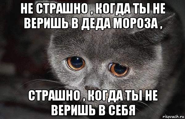 не страшно , когда ты не веришь в деда мороза , страшно , когда ты не веришь в себя, Мем  Грустный кот