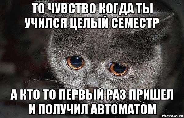 то чувство когда ты учился целый семестр а кто то первый раз пришел и получил автоматом, Мем  Грустный кот