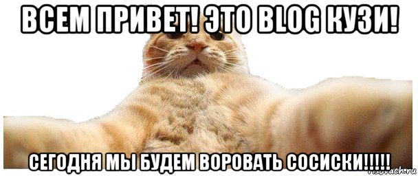 всем привет! это blog кузи! сегодня мы будем воровать сосиски!!!!!, Мем   Кэтсвилл