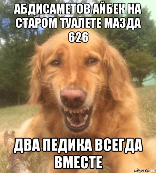 абдисаметов айбек на старом туалете мазда 626 два педика всегда вместе, Мем   Когда увидел что соседского кота отнесли в чебуречную