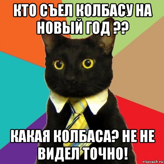 кто съел колбасу на новый год ?? какая колбаса? не не видел точно!, Мем  Кошечка