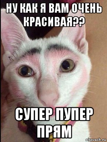 Супер пупер смешные мемы