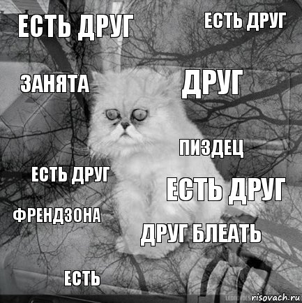 есть друг есть друг ДРУГ ЕСТЬ есть друг есть друг друг блеать ЗАНЯТА ФРЕНДЗОНА пиздец, Комикс  кот безысходность