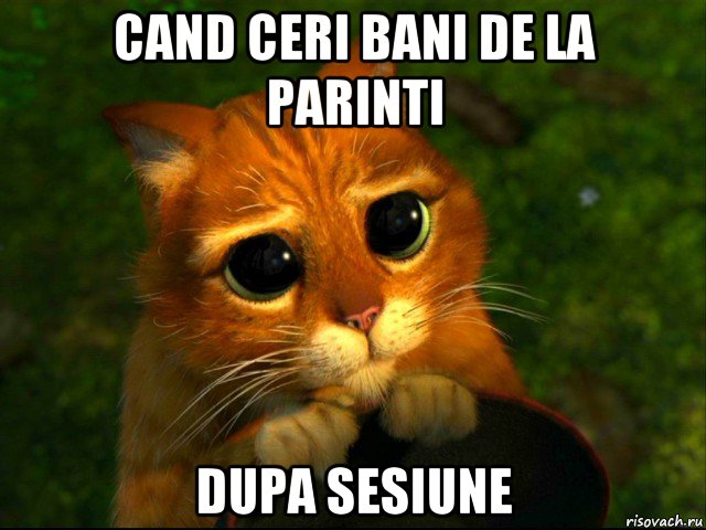 cand ceri bani de la parinti dupa sesiune, Мем кот из шрека