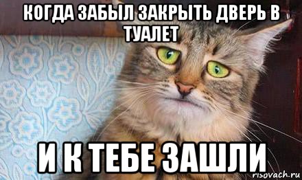 Закрой заходи. Закрывайте дверь в туалет. Закрывайте дверь в туалет картинка. Забыла закрыть дверь в туалете. Когда забыл закрыть дверь.