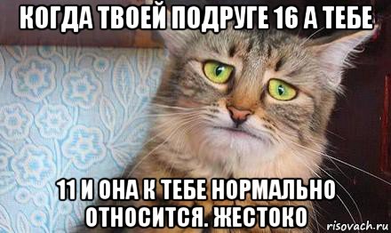 когда твоей подруге 16 а тебе 11 и она к тебе нормально относится. жестоко, Мем  кот печаль