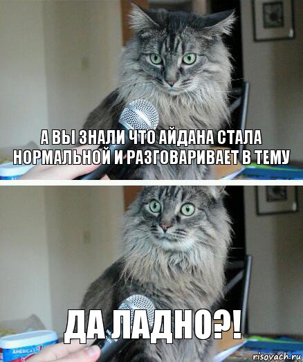 а вы знали что айдана стала нормальной и разговаривает в тему да ладно?!, Комикс  кот с микрофоном