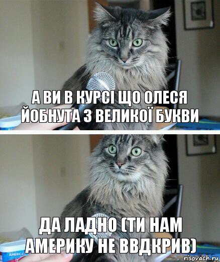 А ви в курсі що олеся йобнута з великої букви Да ладно (ти нам америку не ввдкрив), Комикс  кот с микрофоном