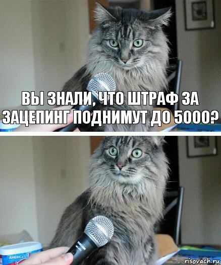 вы знали, что штраф за зацепинг поднимут до 5000? , Комикс  кот с микрофоном