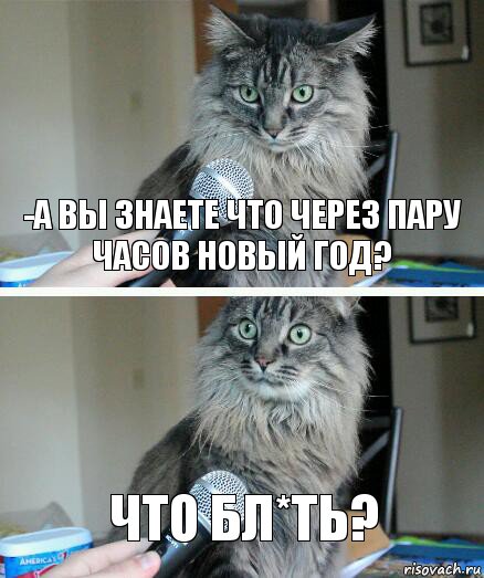 -А вы знаете что через пару часов новый год? Что бл*ть?, Комикс  кот с микрофоном